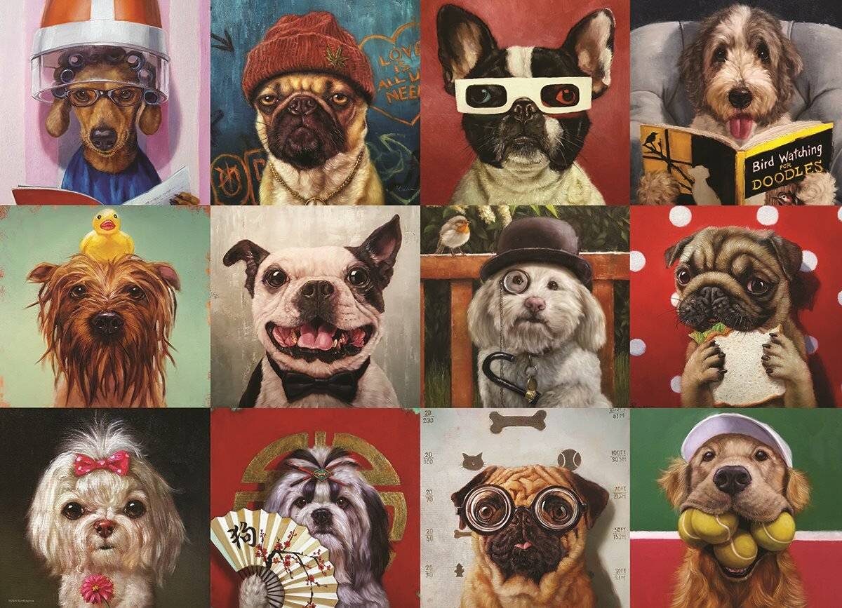 EUROGRAPHICS Puzzle Lustige Hunde 1000 Teile