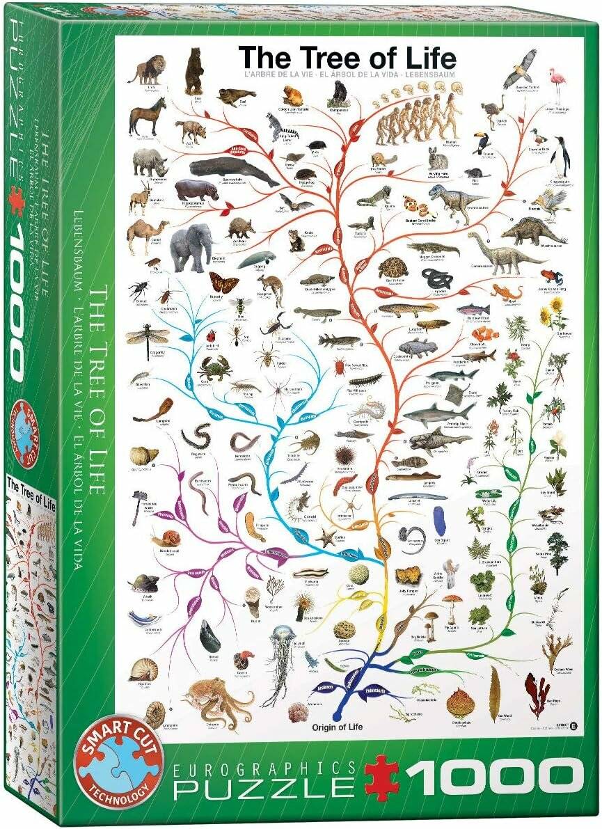 EUROGRAPHICS Puzzle Baum des Lebens 1000 Teile