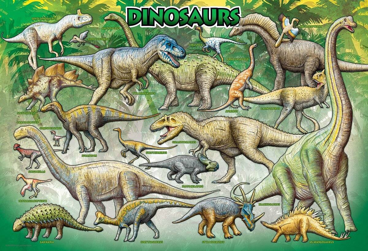 EUROGRAPHICS Puzzle Dinosaurier 100 Teile