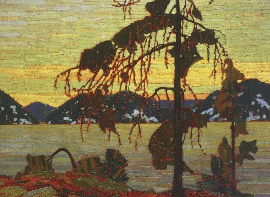 EUROGRAPHICS Puzzle Die Kiefer 1000 Teile