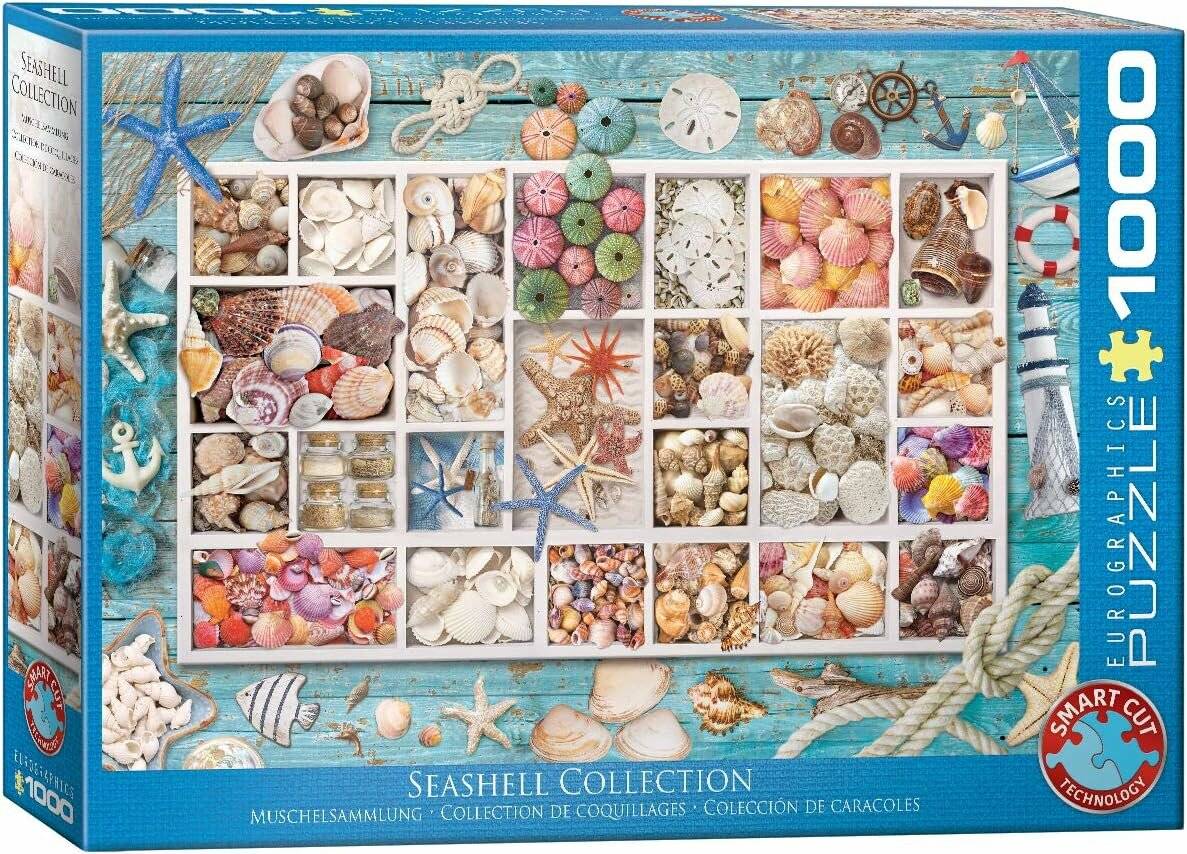 EUROGRAPHICS Puzzle Laura's shell collection 1000 Teile
