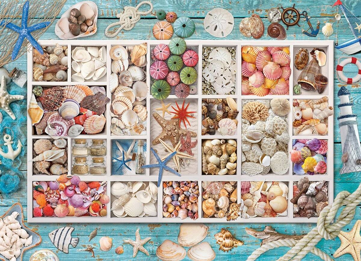 EUROGRAPHICS Puzzle Laura's shell collection 1000 Teile