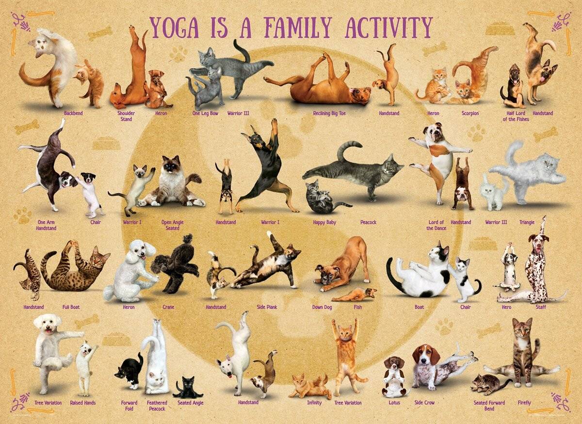 EUROGRAPHICS Puzzle Yoga ist eine Familienaktivität XL 500 Teile