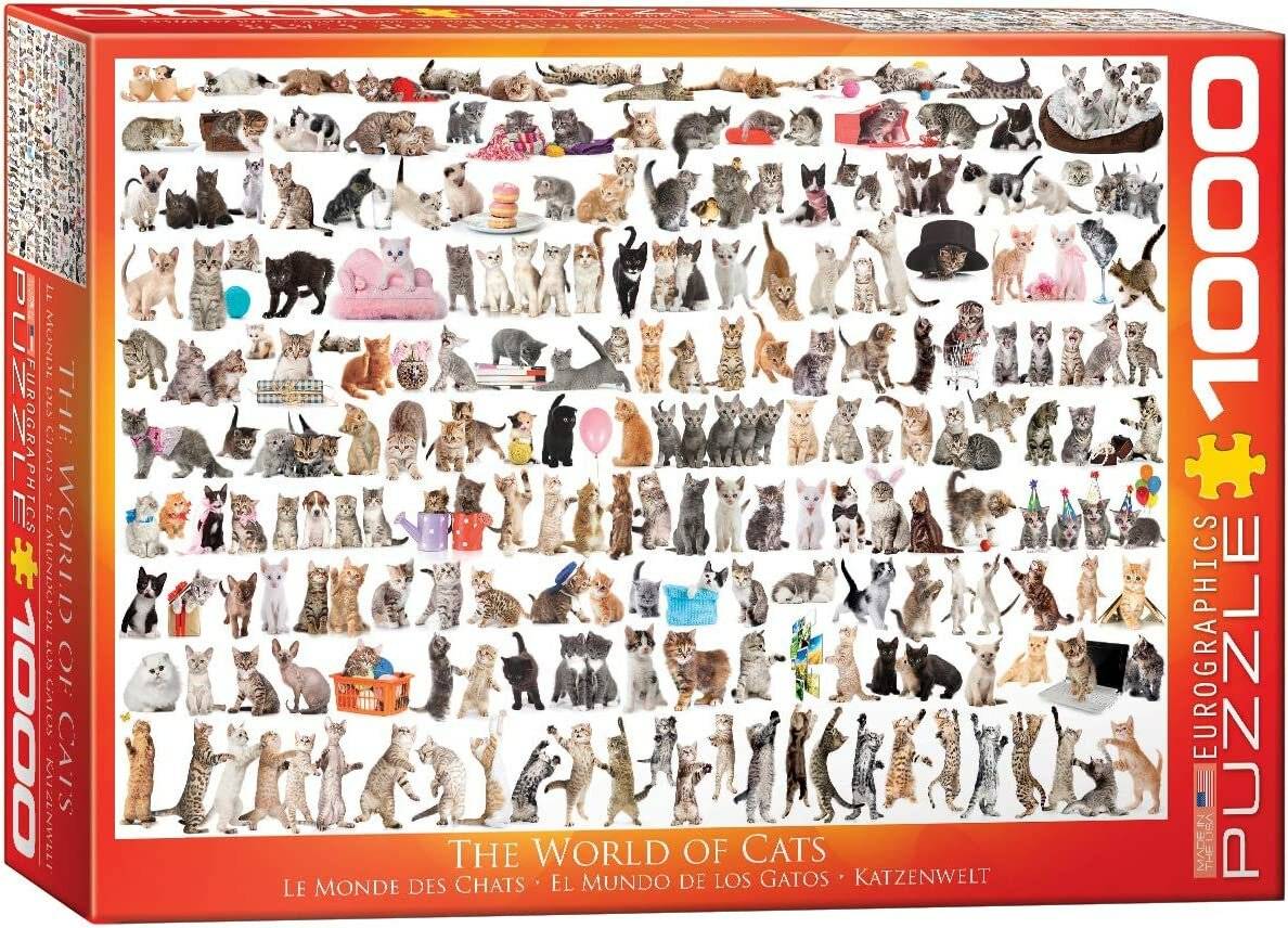 EUROGRAPHICS Puzzle World of Cats 1000 Teile
