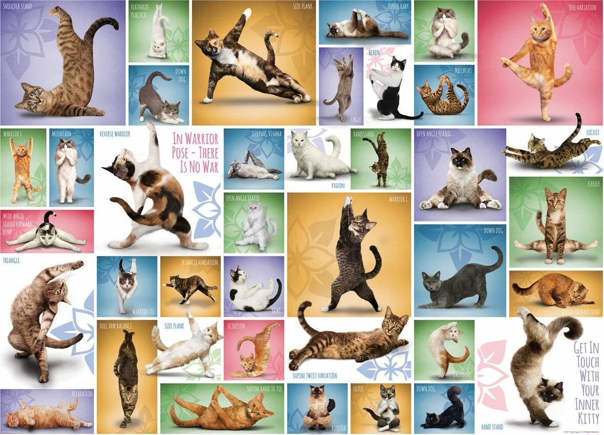 EUROGRAPHICS Katze Yoga Puzzle 1000 Teile