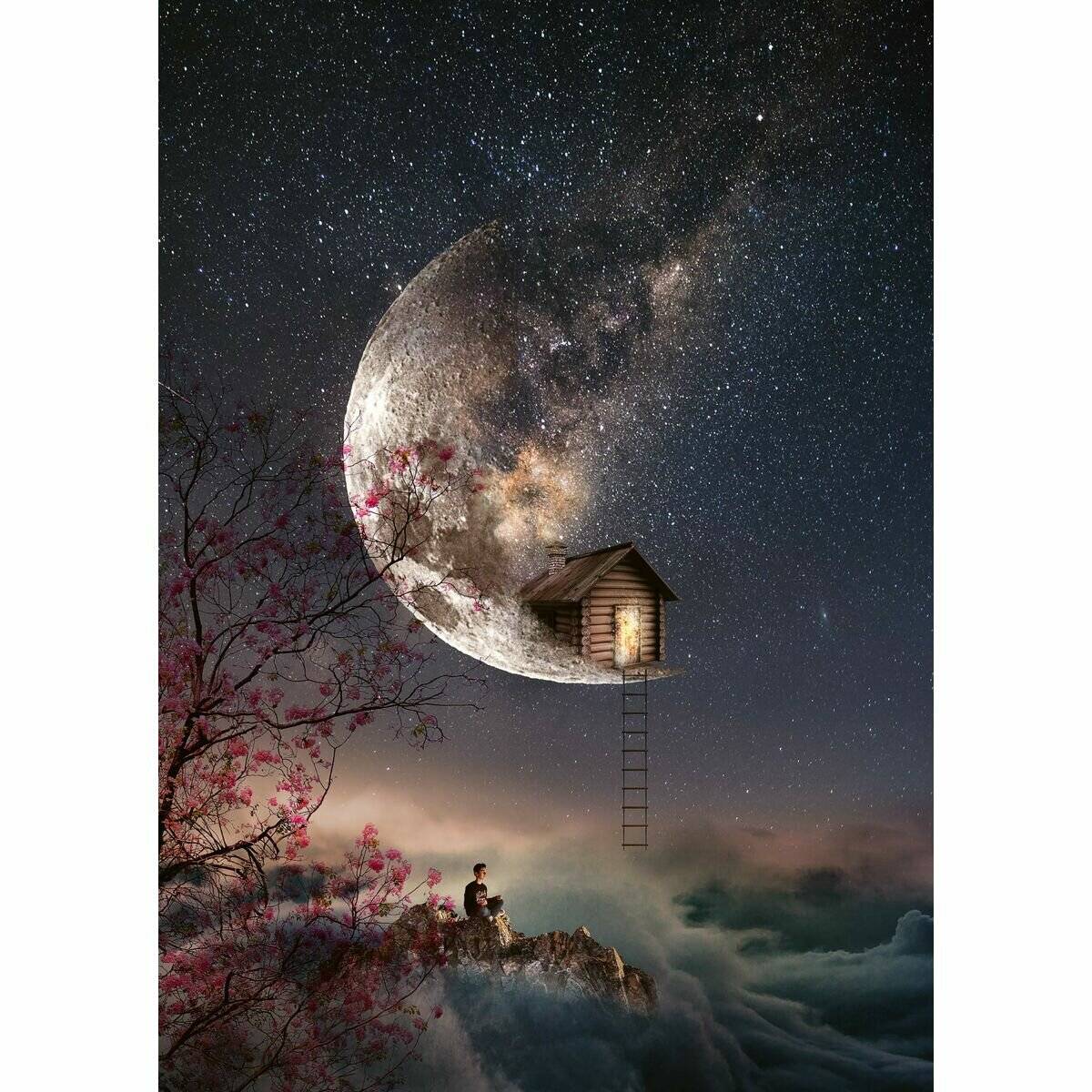 SCHMIDT Puzzle Whispering Dreams 1000 Teile