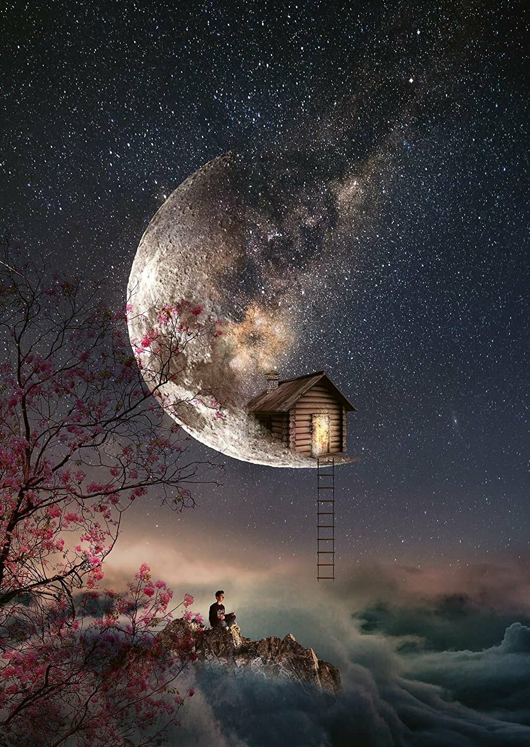 SCHMIDT Puzzle Whispering Dreams 1000 Teile