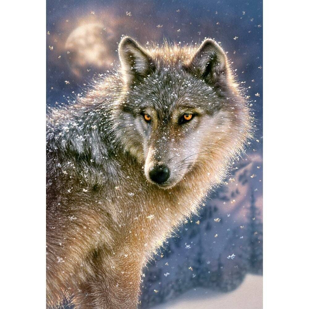 CASTORLAND Einsamer Wolf Puzzle 500 Teile