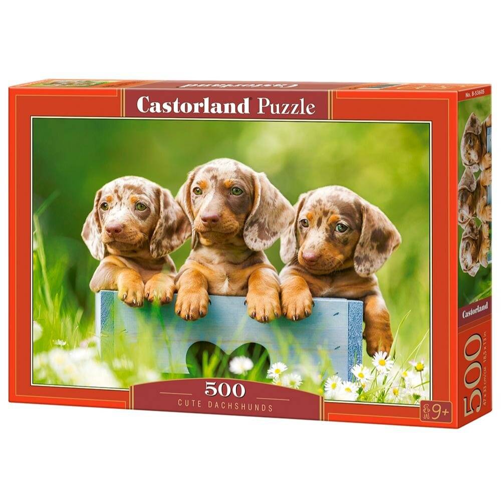 CASTORLAND Puzzle Niedliche Dackel 500 Teile