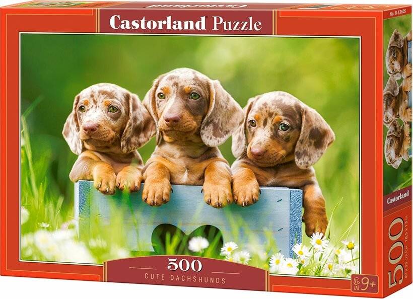 CASTORLAND Puzzle Niedliche Dackel 500 Teile