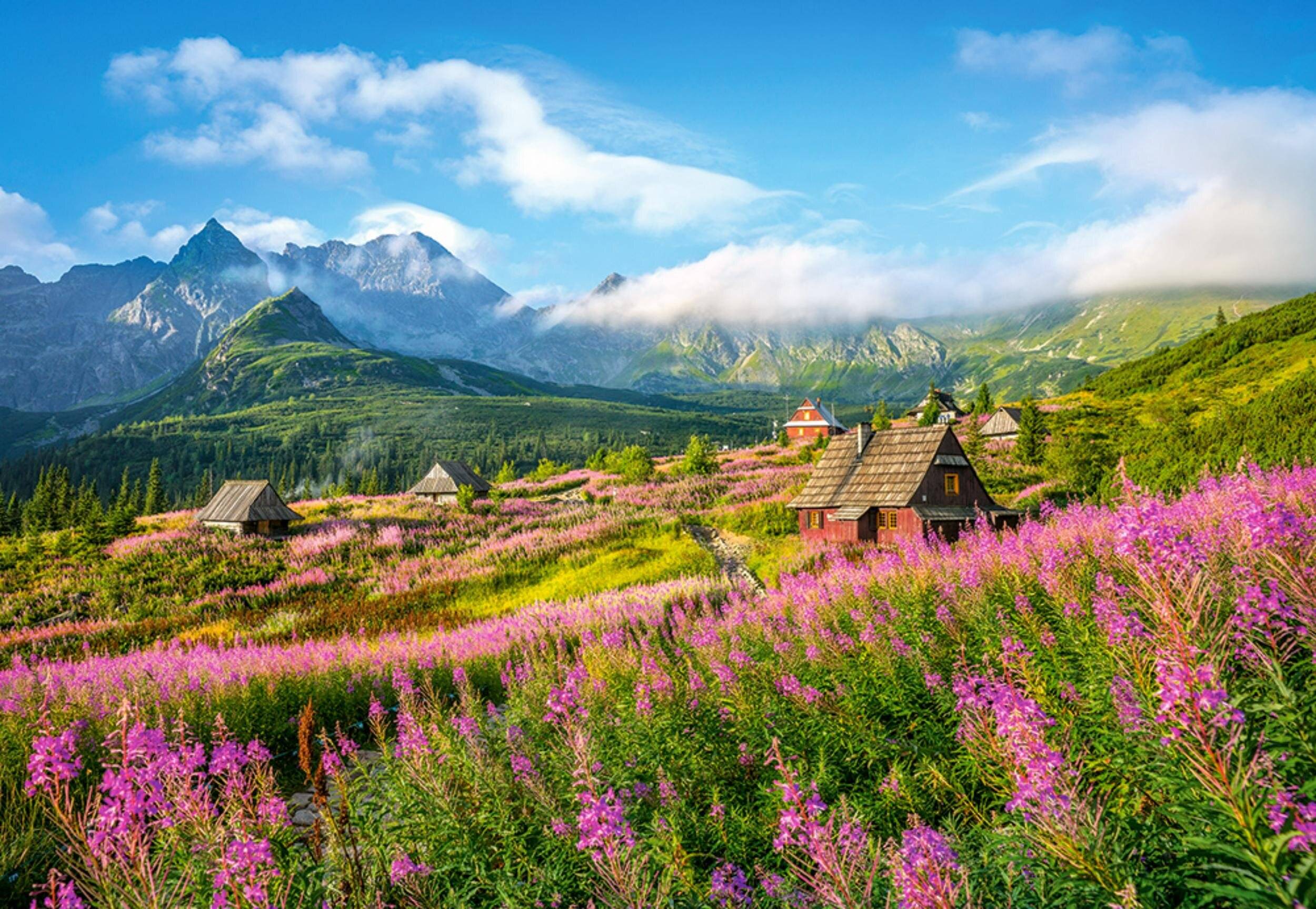 CASTORLAND Puzzle Gsienicowa Tal, Tatra 1000 Teile