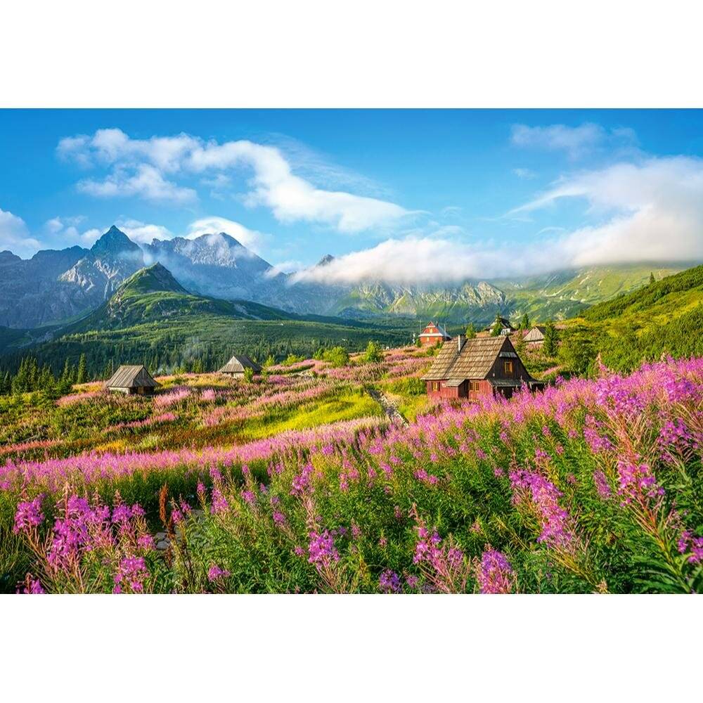 CASTORLAND Puzzle Gsienicowa Tal, Tatra 1000 Teile