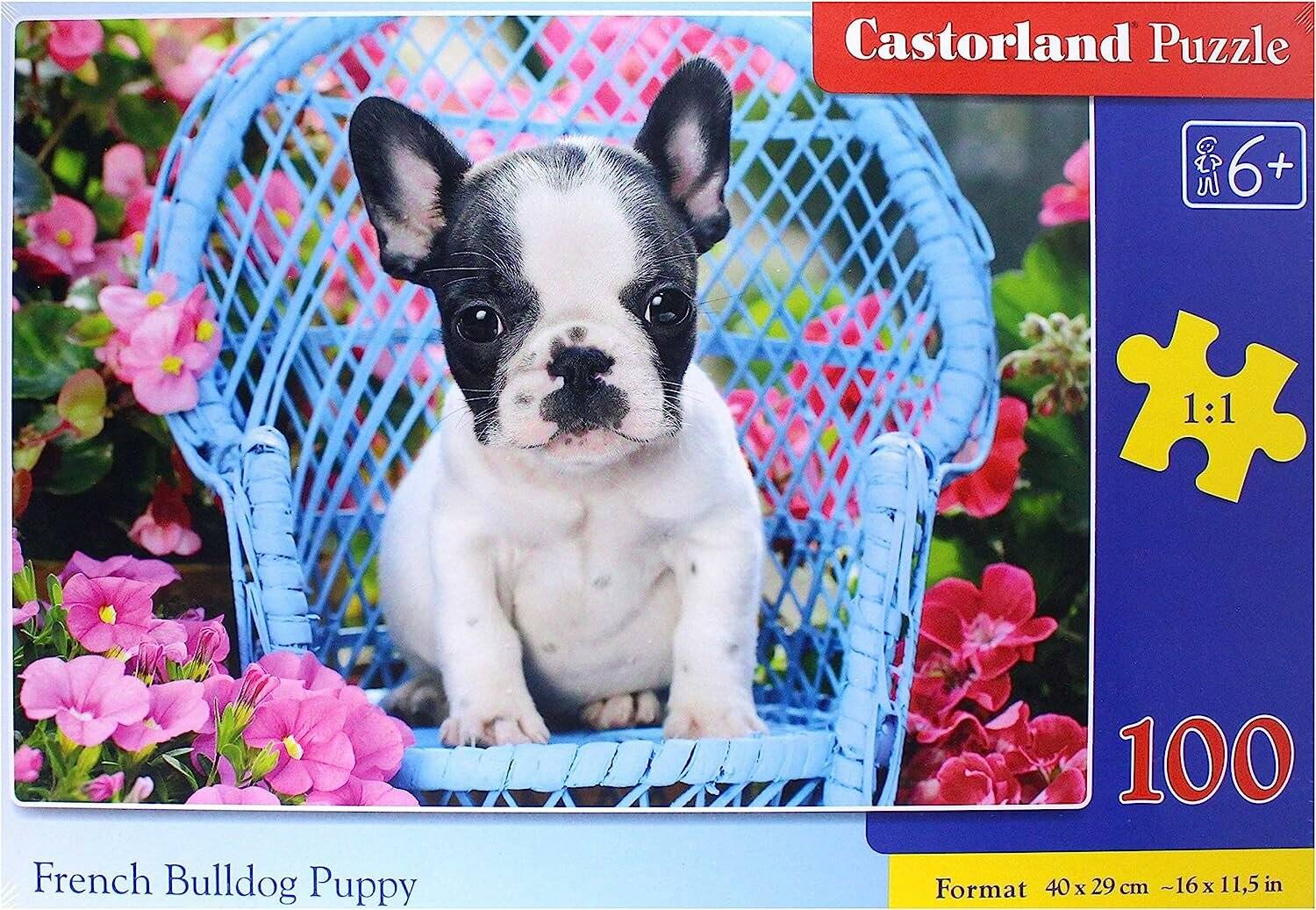 CASTORLAND Französische Bulldogge Welpe Puzzle 100 Teile