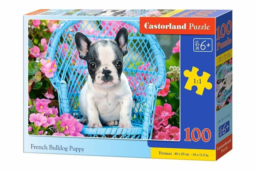 CASTORLAND Französische Bulldogge Welpe Puzzle 100 Teile