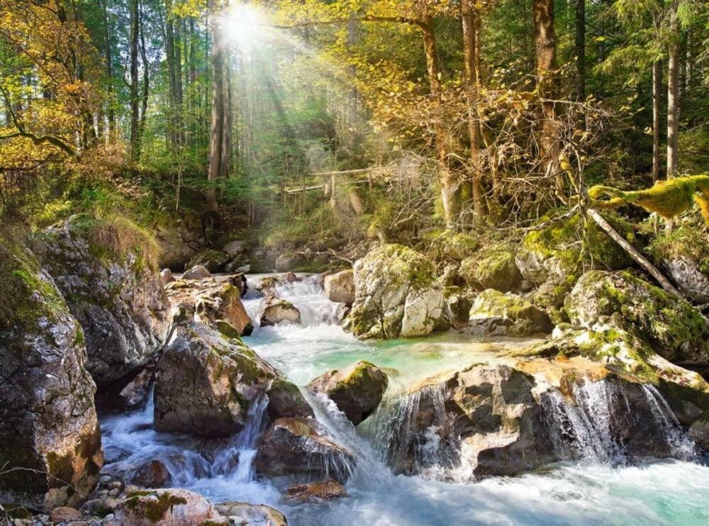 CASTORLAND Puzzle Fluss im Wald 2000 Teile