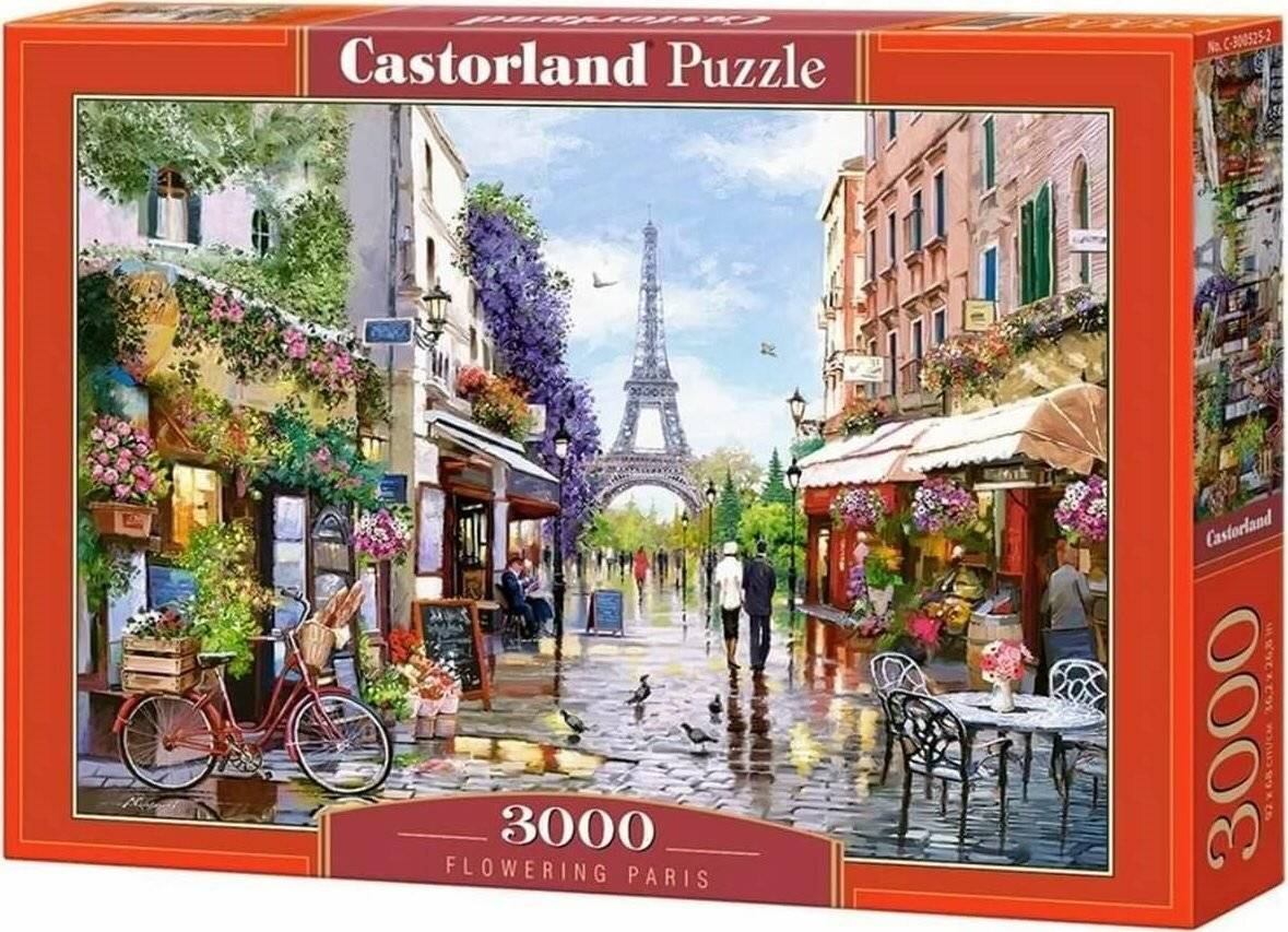 CASTORLAND Puzzle Blühendes Paris 3000 Teile