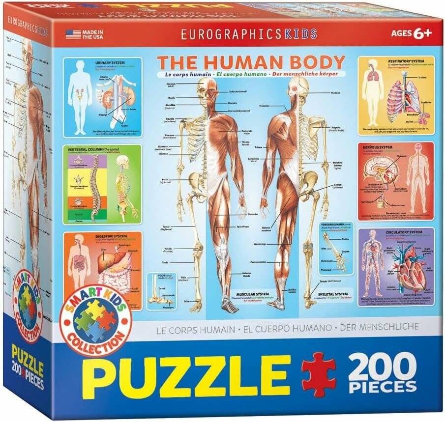 EUROGRAPHICS Menschlicher Körper Puzzle 200 Teile