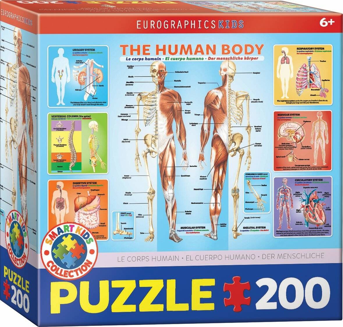 EUROGRAPHICS Menschlicher Körper Puzzle 200 Teile
