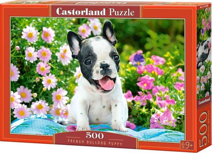 CASTORLAND Französische Bulldogge Welpe Puzzle 500 Teile