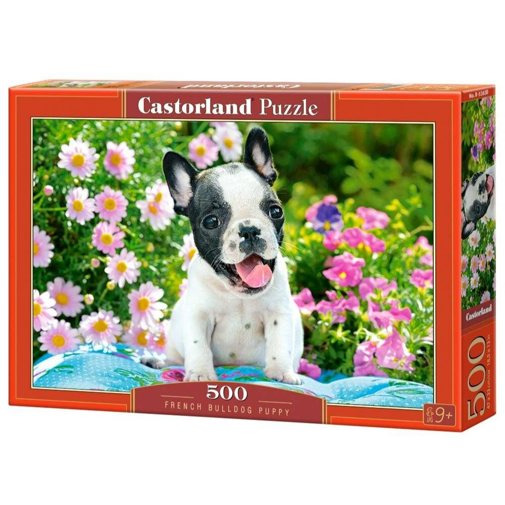 CASTORLAND Französische Bulldogge Welpe Puzzle 500 Teile