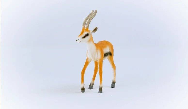 Wild Life Thomson Gazelle