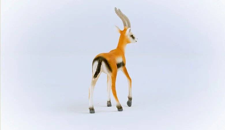 Wild Life Thomson Gazelle