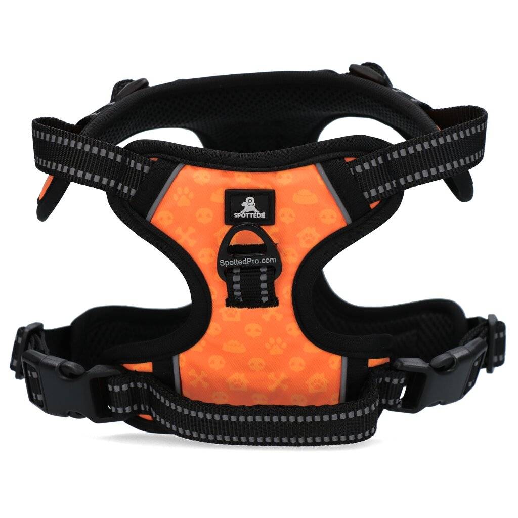Spotted! PRO Geschirr Orange XS