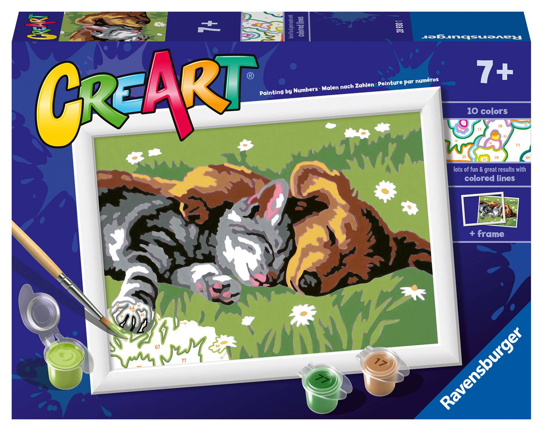 CreArt - Serie E: Hund und Katze schlafen süß