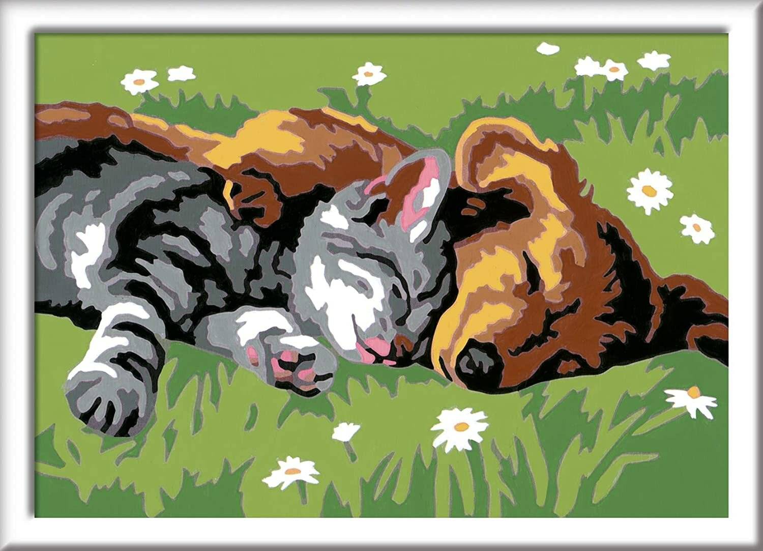 CreArt - Serie E: Hund und Katze schlafen süß