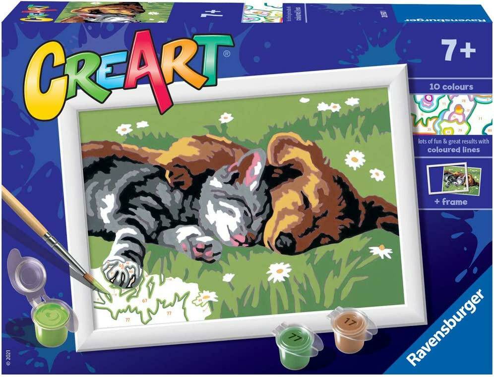 CreArt - Serie E: Hund und Katze schlafen süß