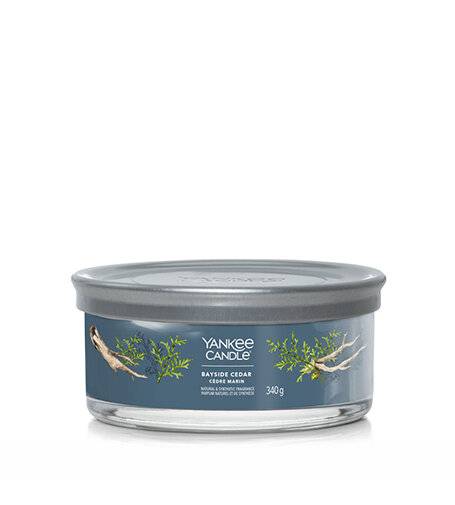 Aromatic candle Signature tumbler medium Bayside Cedar 340 g