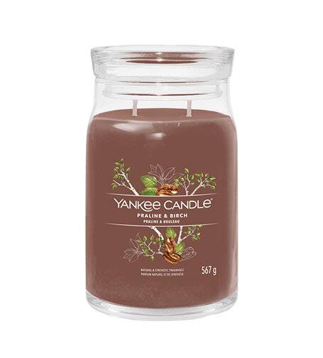 Yankee Candle Praline & Birke Signatur Kerze 567 g