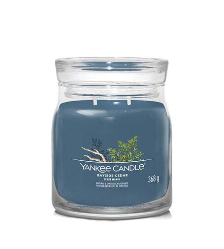 Yankee Candle Bayside Cedar Signatur Kerze Medium 368 g