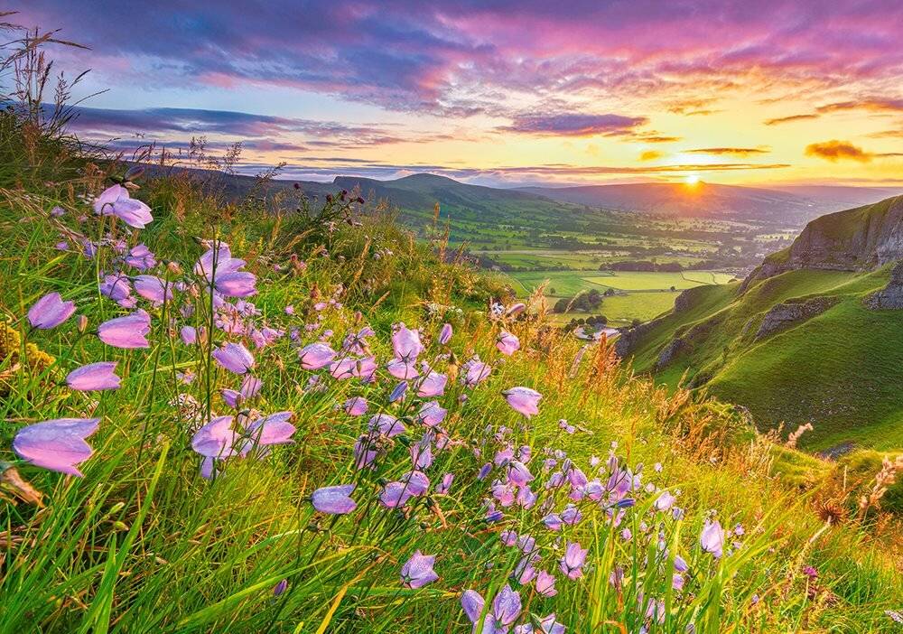 CASTORLAND Puzzle Sonnenaufgang über dem Tal 500 Teile