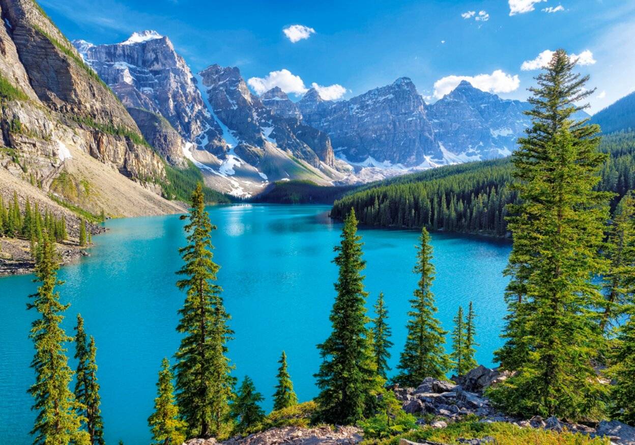 CASTORLAND Puzzle Frühling am Moraine Lake, Kanada 500 Teile