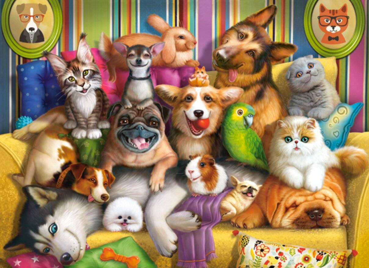 CASTORLAND Puzzle Verspielte Haustiere 60 Teile