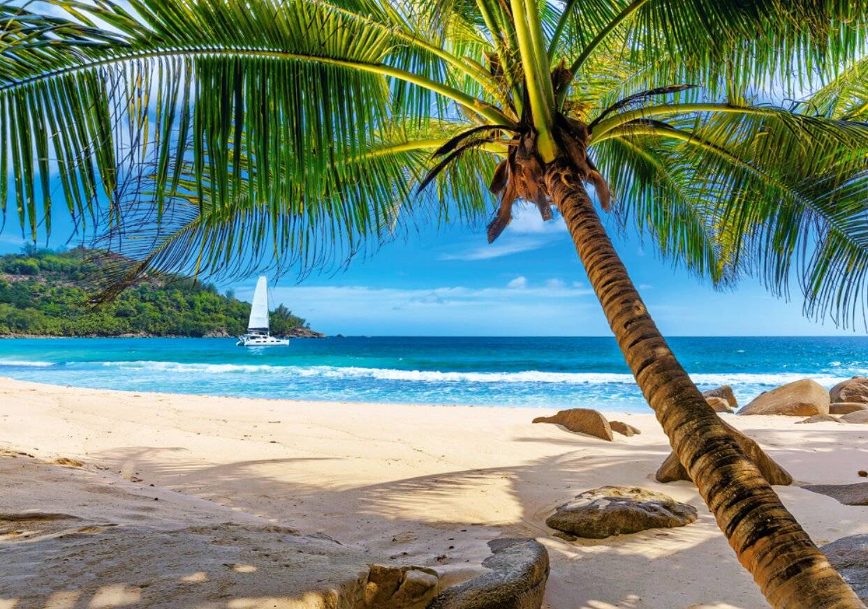 CASTORLAND Puzzle Urlaub auf den Seychellen 500 Teile