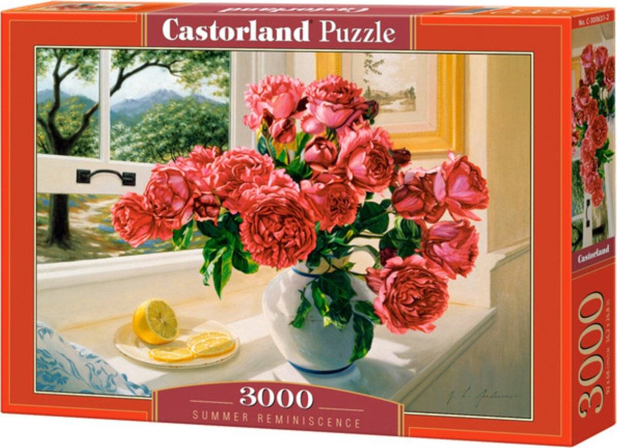 CASTORLAND Puzzle Erinnerung an den Sommer 3000 Teile