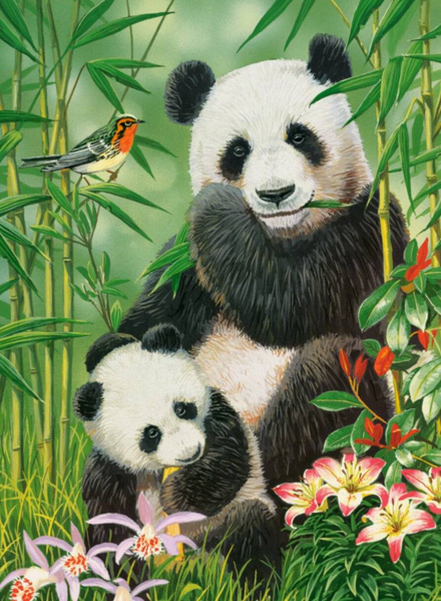 CASTORLAND Panda Brunch Puzzle 1000 Teile