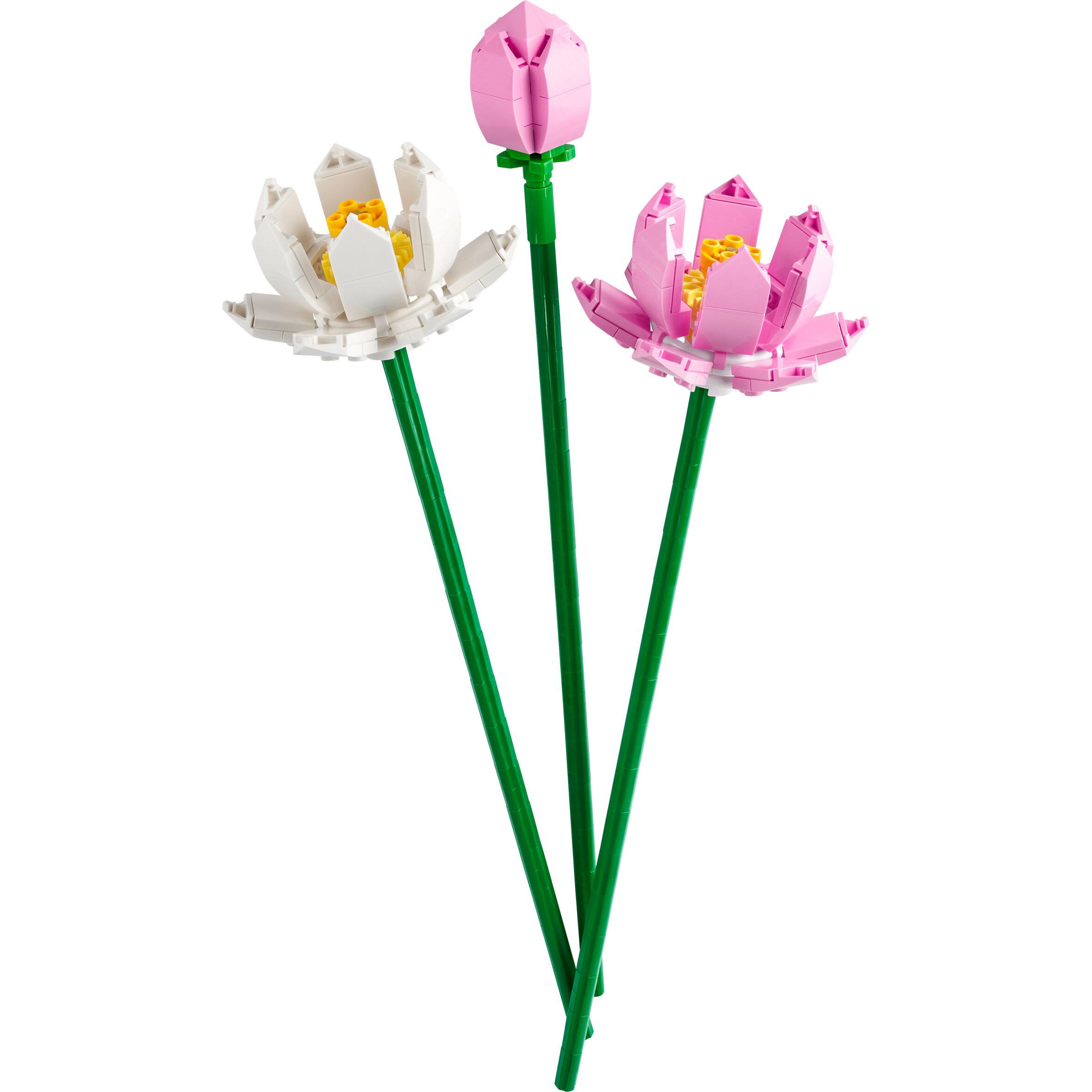 LEGO LEGO Creator Lotusblumen (40647)