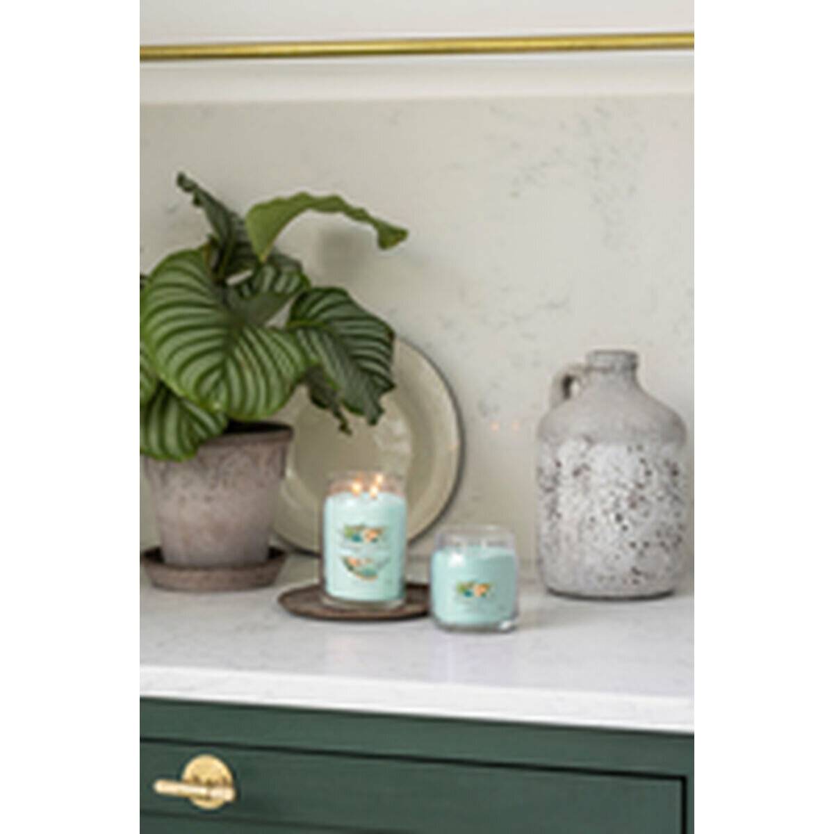 Duftkerze Signature Glas mittel Aloe & Agave 368 g