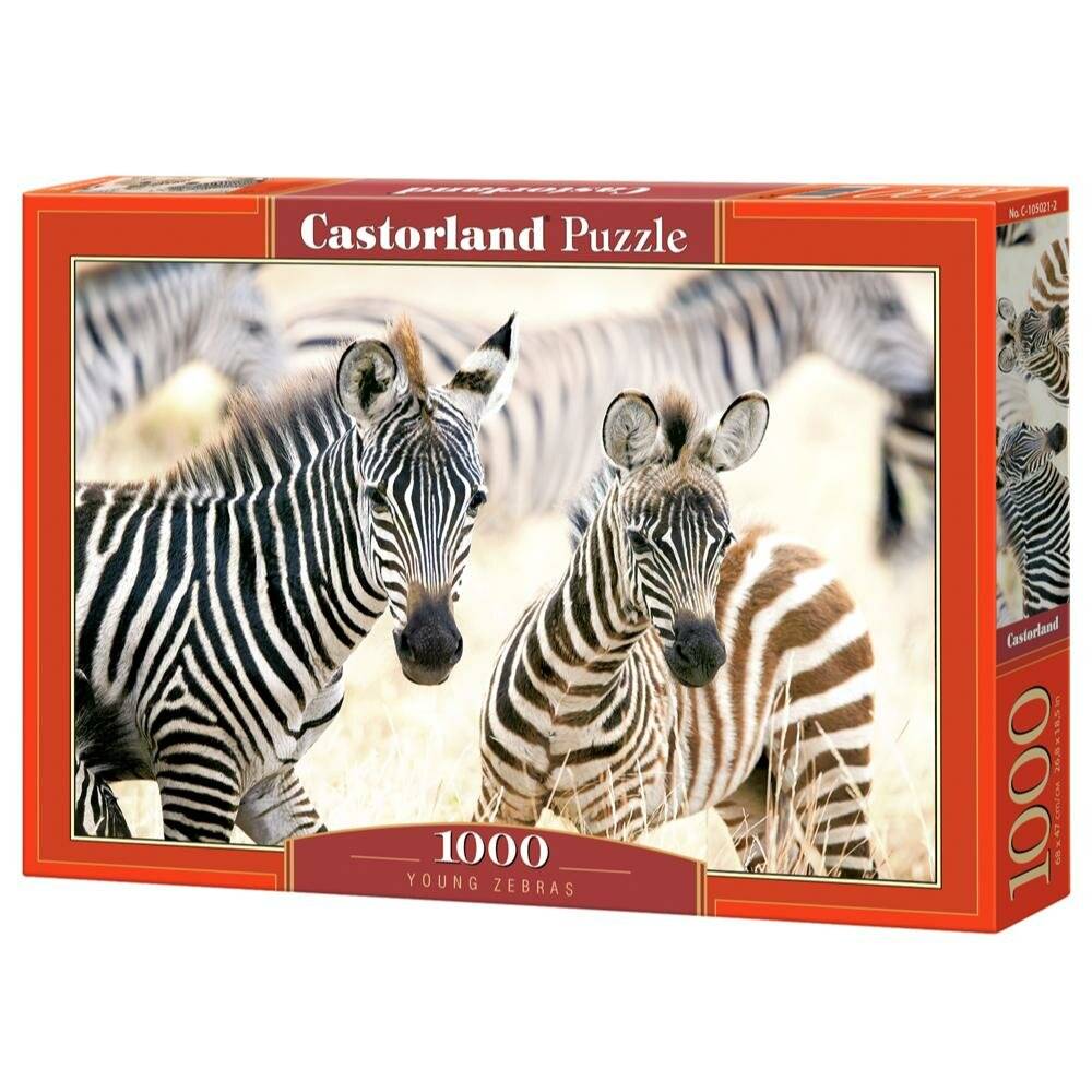 CASTORLAND Puzzle Junge Zebras 1000 Teile
