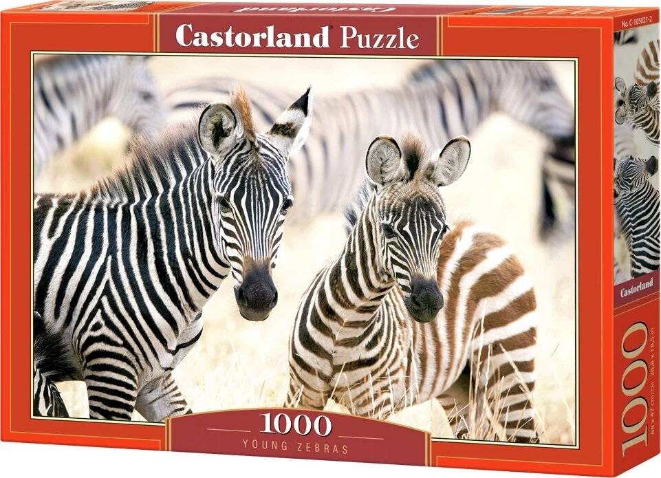 CASTORLAND Puzzle Junge Zebras 1000 Teile