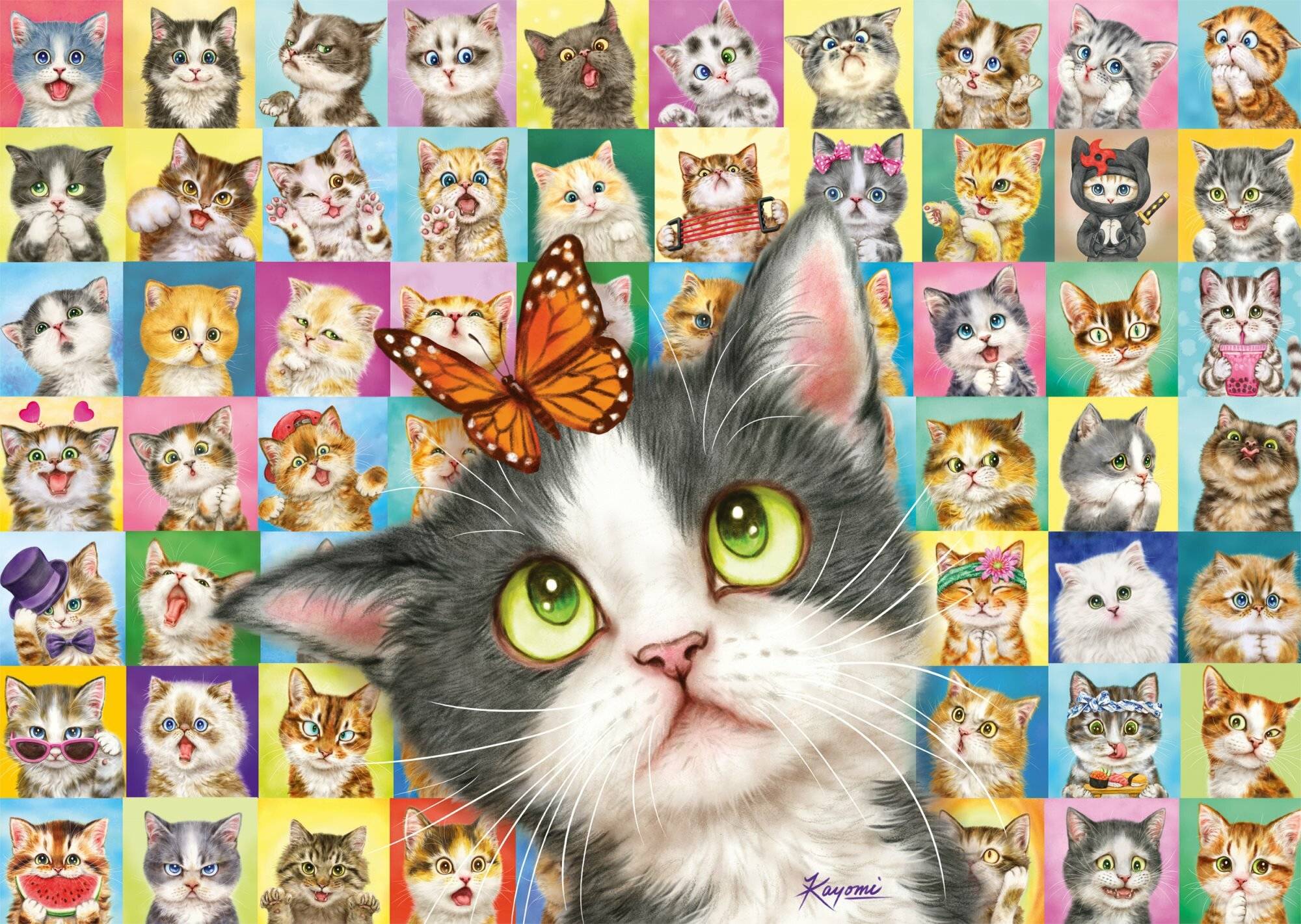 SCHMIDT Puzzle Katzenausdrü cke 1000 Teile