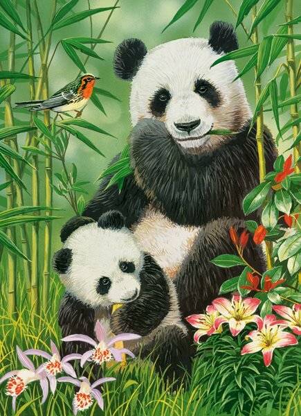 CASTORLAND Panda Brunch Puzzle 300 Teile