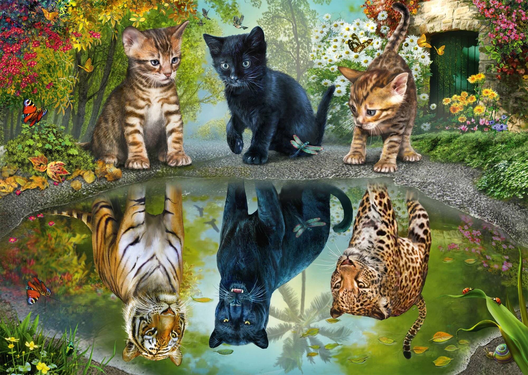 Schmidt Spiele Puzzle 1000 Teile Dream Big!
