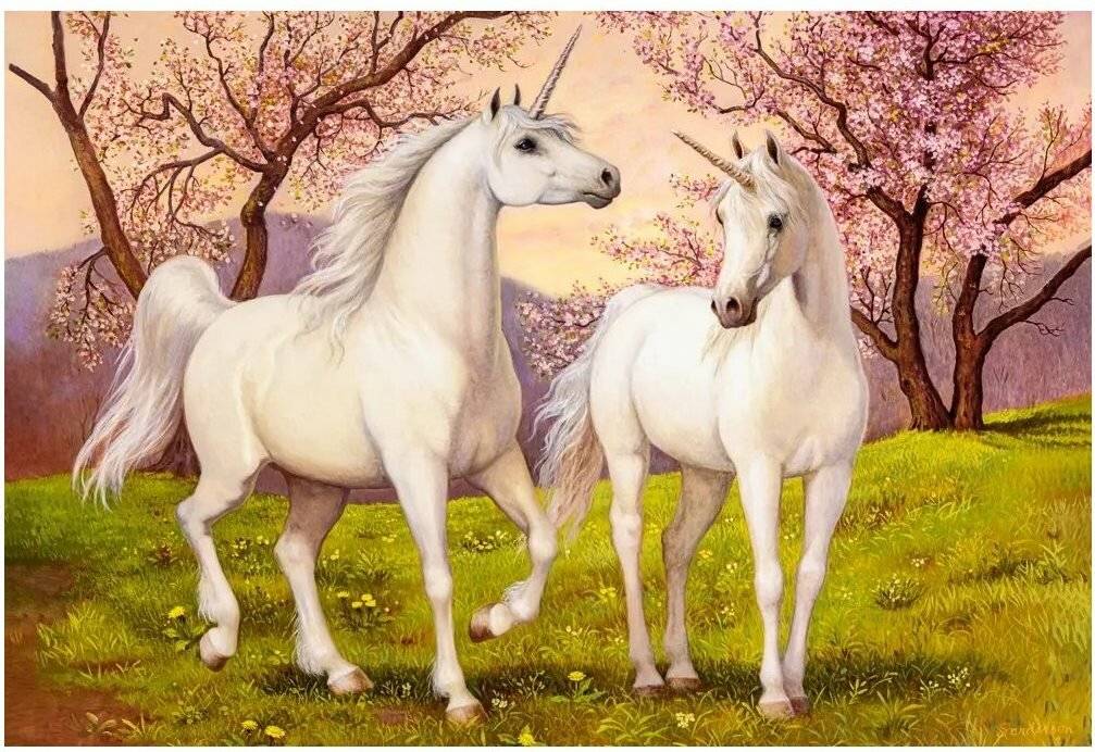 CASTORLAND Puzzle Einhorn Liebe 1000 Teile
