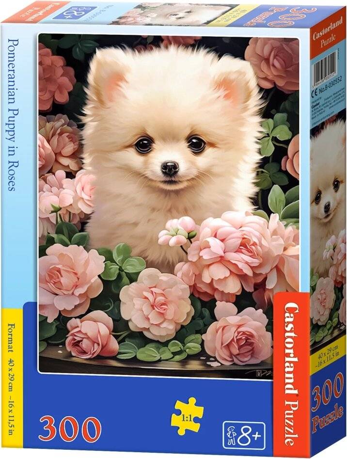 CASTORLAND Puzzle Sechs Pomeraniana in den Reihen von 300 Stü ck