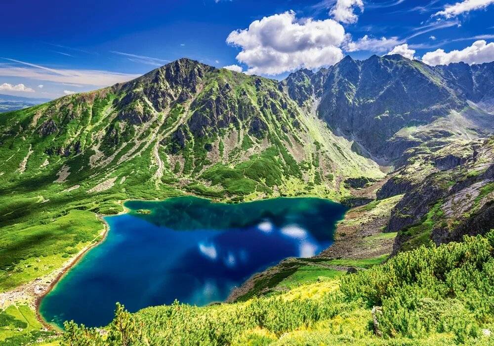 CASTORLAND Puzzle Czarny Staw GÄ sienicowy, Tatry 500 Teile
