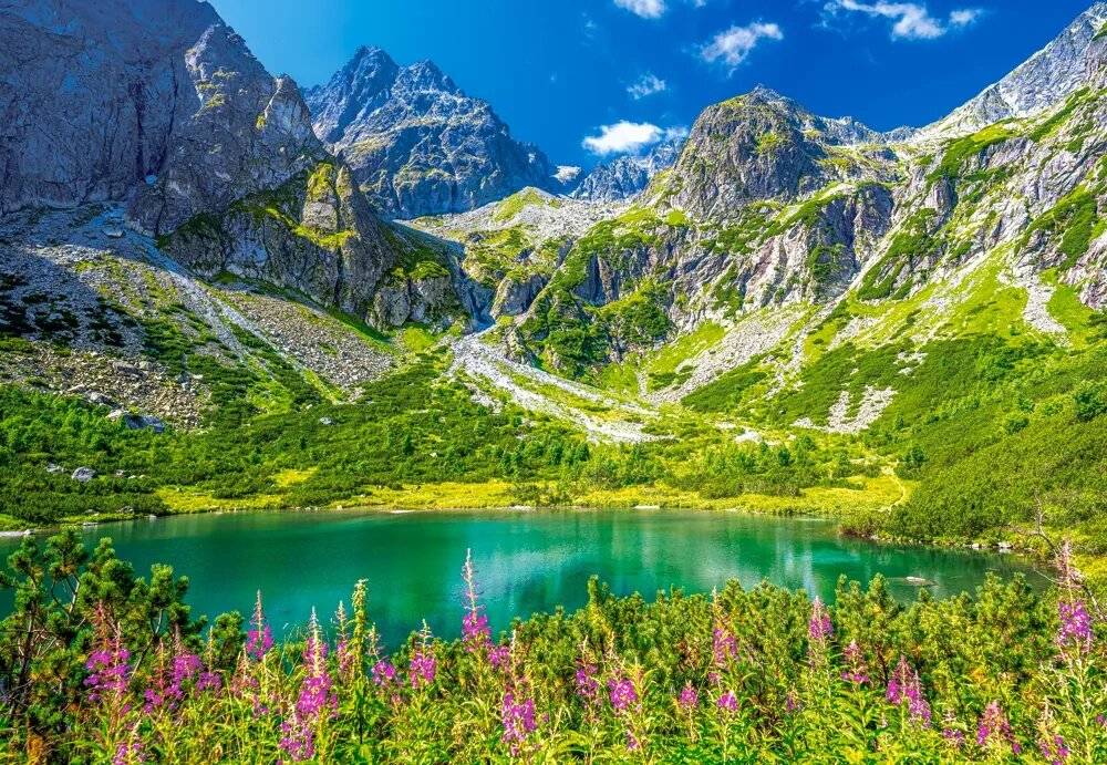 CASTORLAND Puzzle Grü ner See, Tatra 1000 Teile